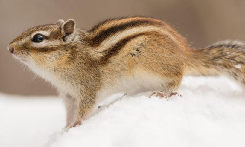 浙江纯爱服饰有限公司轮播图2