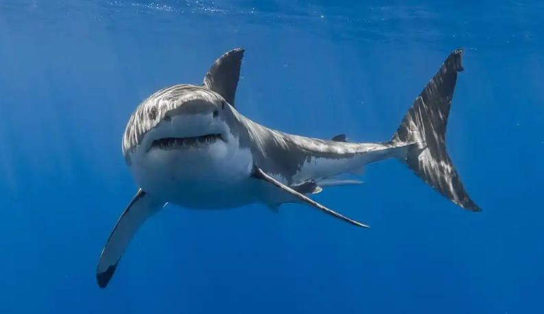 浙江纯爱服饰有限公司轮播图1