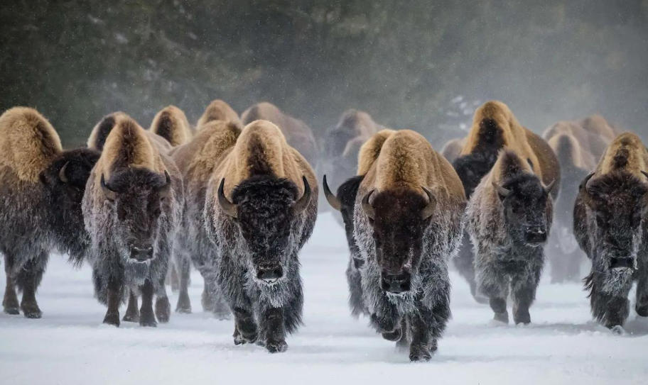 浙江纯爱服饰有限公司轮播图2