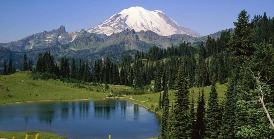 浙江纯爱服饰有限公司轮播图5